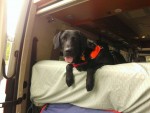 Chester RV scopes out Bar Harbor Reunion in Camper